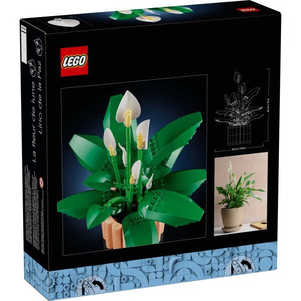 LEGO_11504_Box5_v39_en-gb 11504