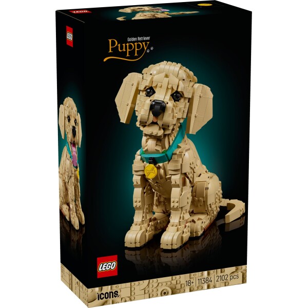 LEGO_11384_Box1_v29