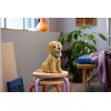 LEGO_11384_Lifestyle_Envr_03