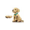 LEGO_11384_WEB_SEC07_NOBG
