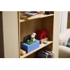 LEGO_21368_Lifestyle_Envr_04
