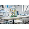 LEGO_43015_Lifestyle_envr_B LEGO_43015_Lifestyle_envr_B